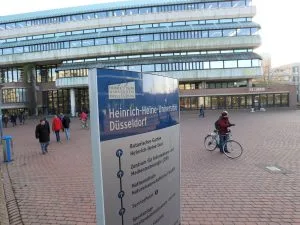 dusseldurf