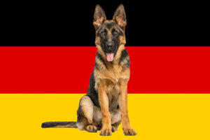 حیوانات خانگی در کشور آلمان 