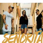 آهنگ آلمانی Senorita