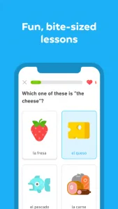 اپلیکیشن Duolingo